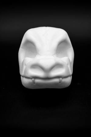 Blastoise Skull (Pre Supported)