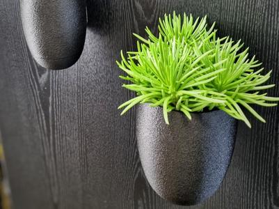 Wall planter or pole planter