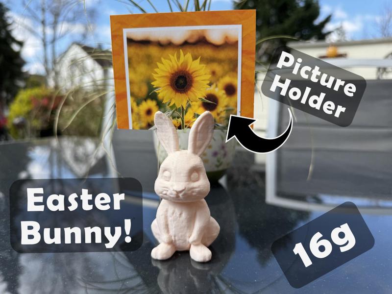 Easter Bunny – Picture Holder