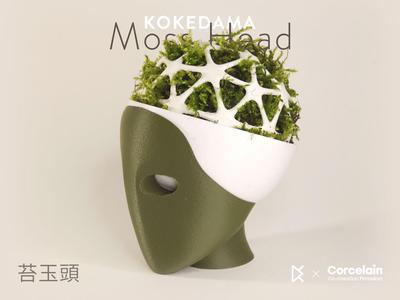 Mosshead Kokedama