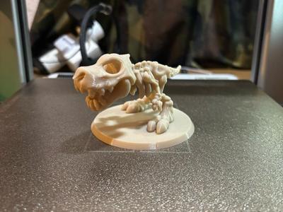 T-Rex Skeleton