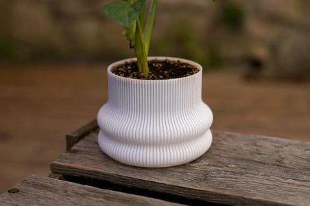 modern elegant line planter or vase