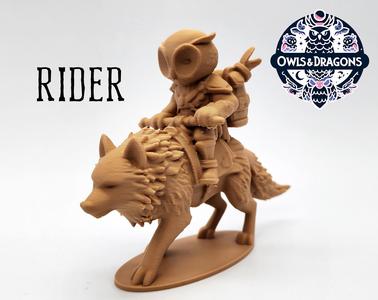 The Wolf Rider – Owls & Dragons