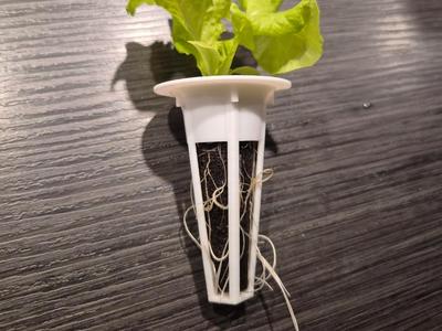 Hydroponic Basket