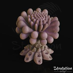 Anemone Mushroom