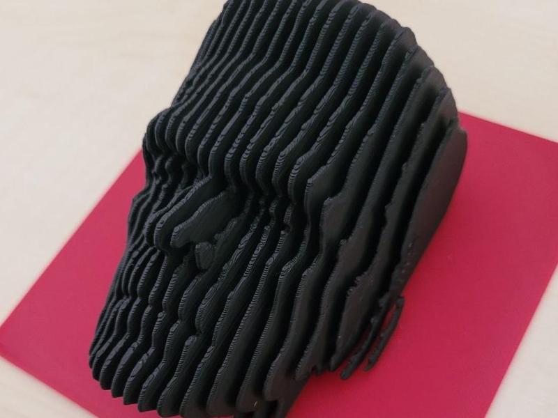 Layered sculpture Frankenstein